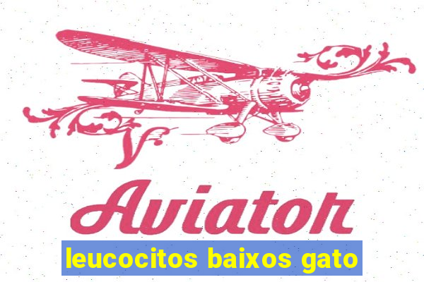 leucocitos baixos gato